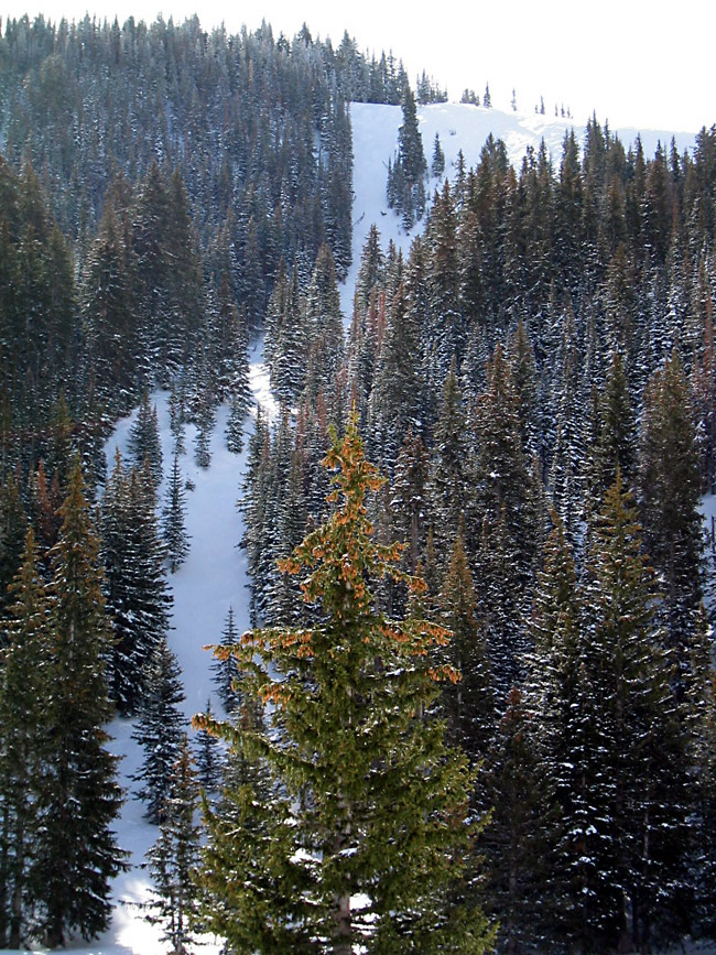 Jupiter07ParkCity041